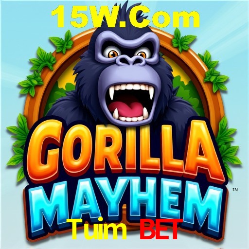 Descubra o Mundo do Cassino Online com Tuim Bet