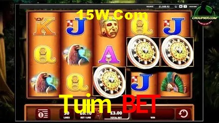 Casino Ao Vivo Tuim Bet