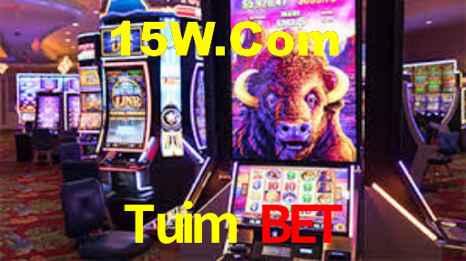 Sinta a adrenalina dos jogos de cassino com Tuim Bet