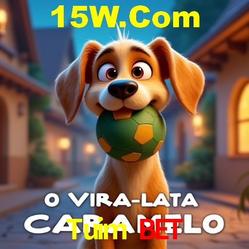 A Experiência Imersiva dos Cassinos Ao Vivo no Tuim Bet