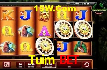 Sistemas de Segurança Tuim Bet
